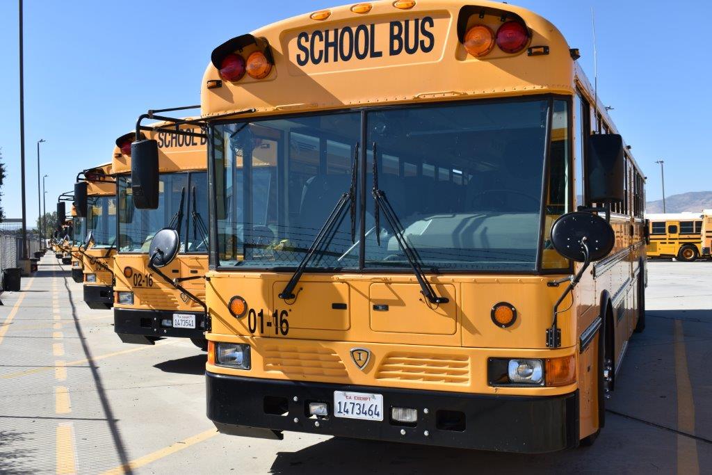 AVSTA school buses